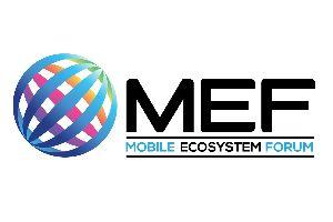 MEF